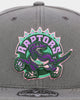 Mitchell & Ness Toronto Raptors 'From Dusk' Fitted Grey