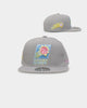 Mitchell & Ness Phoenix Suns 'Til Dawn' Fitted Grey
