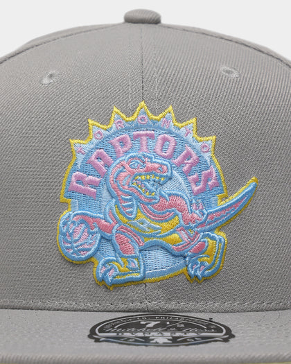 Mitchell & Ness Toronto Raptors 'Til Dawn' Fitted Grey