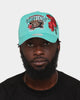 Mitchell & Ness Vancouver Grizzlies 'Roses HWC' Pro Crown Snapback Teal