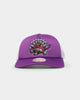 Mitchell & Ness Toronto Raptors 'NBA Off The Backboard' Trucker Snapback Purple