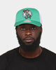 Mitchell & Ness Boston Celtics 'NBA Off The Backboard' Trucker Snapback Green