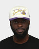 New Era Los Angeles Lakers Chrome Old Golfer White/Purple