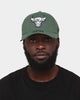 New Era Chicago Bulls 39THIRTY Fitted Dark Seaweed