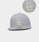 New Era Los Angeles Dodgers 'Chain Stitch' 59FIFTY Fitted Stone
