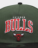 New Era Chicago Bulls 'Stencil Script' Golfer Snapback Cilantro Green/Black