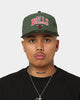 New Era Chicago Bulls 'Stencil Script' Golfer Snapback Cilantro Green/Black