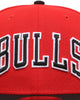 New Era Chicago Bulls Team Wordmark 9FIFTY Snapback Original Team Colours