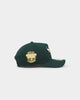 New Era Chicago Bulls 'Green And Gold' 9FORTY A-Frame Snapback Green/Gold