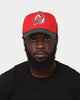 47 Brand New Jersey Devils 'Scarlet Pines' MVP DT Snapback Red/Dark Green