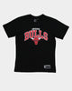 NBA Kids' Chicago Bulls NBA Team Arch T-Shirt Black