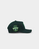 New Era Milwaukee Bucks 'Spring Greens'  9FORTY A-Frame Snapback Green