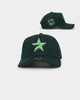 New Era Houston Astros 'Spring Greens'  9FORTY A-Frame Snapback Green