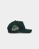 New Era Eugene Emeralds 'Spring Greens'  9FORTY A-Frame Snapback Green