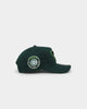 New Era Chicago Cubs 'Spring Greens'  9FORTY A-Frame Snapback Green
