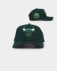 New Era Chicago Bulls 'Spring Green'  9FORTY A-Frame Snapback Green