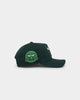 New Era Chicago Bulls 'Spring Green'  9FORTY A-Frame Snapback Green