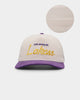 New Era Los Angeles Lakers 'Chrome Corduroy Throwback Script' Golfer Snapback Chrome White