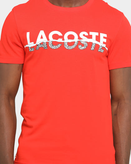 Lacoste Big Logo T-Shirt Corrida/Blanc