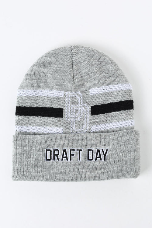Draft D-Team Beanie Grey Marle