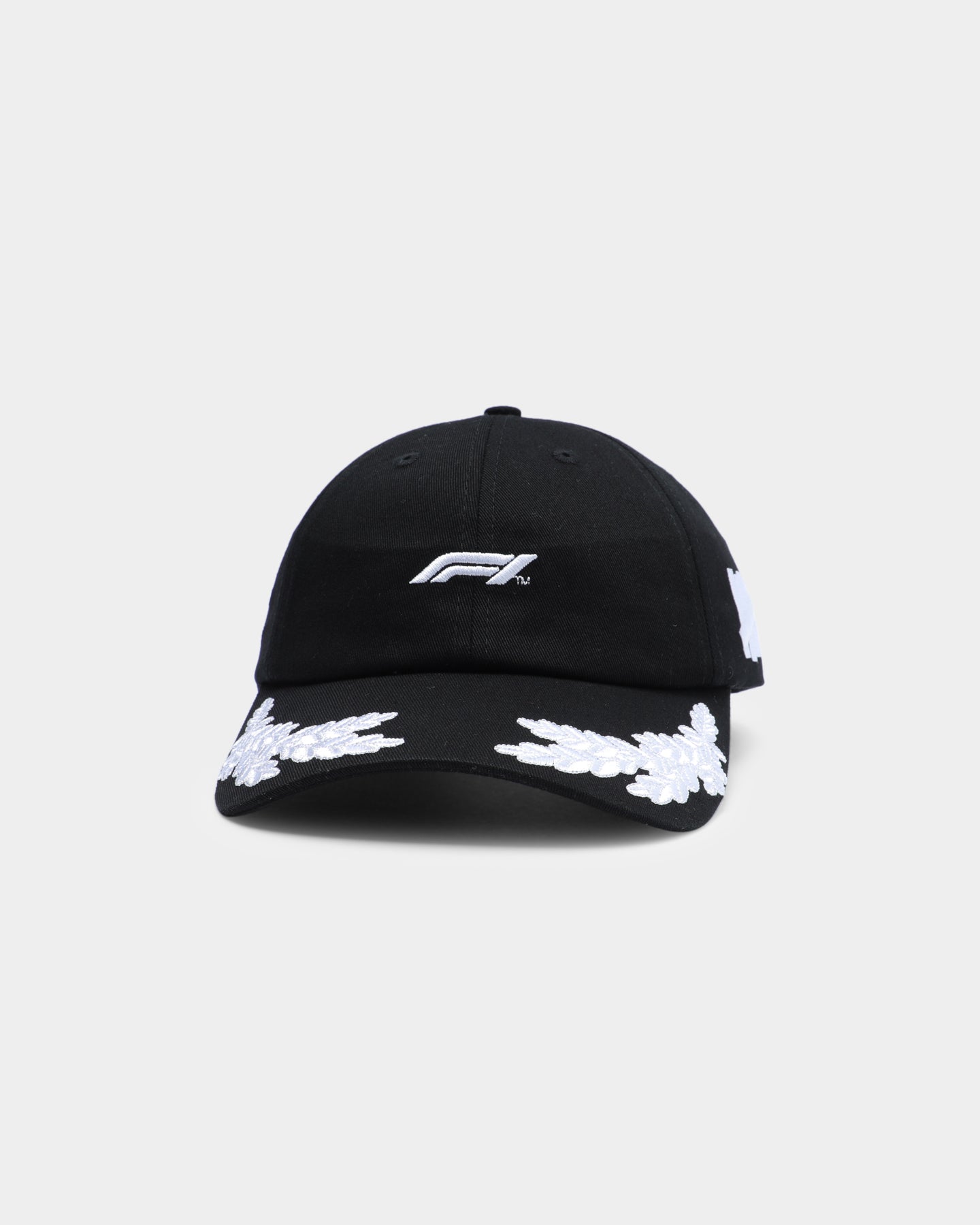 Anti Social Social Club ASSC X UNDFTD X F1 Strapback | Culture