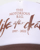Notorious B.I.G Biggie Brown Trucker Snapback Brown