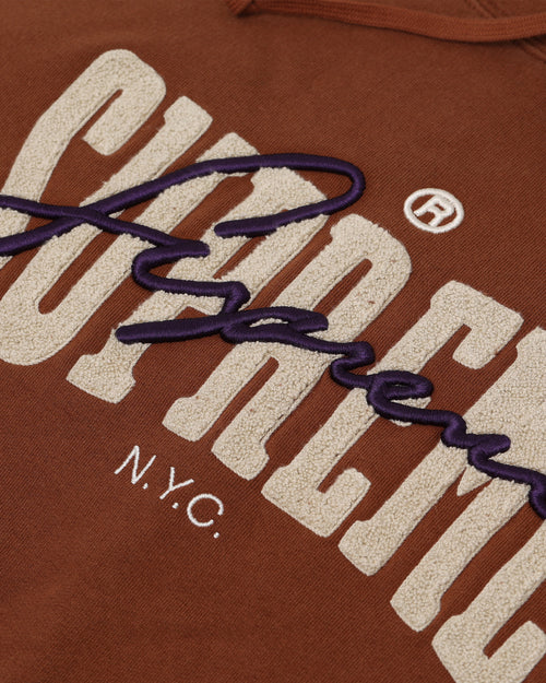 Supreme Embroidered Chenille Hoodie Brown