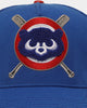 Pro Standard Chicago Cubs Mash Up Trucker Snapback Royal