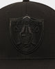 Pro Standard Las Vegas Raiders Triple Black Wool Snapback Black/Black