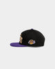 Mitchell & Ness Los Angeles Lakers Vintage Arch Snapback Black/Purple