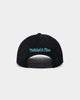 Mitchell & Ness Charlotte Hornets Hard Wood Classics Logo Pro Crown Snapback Black