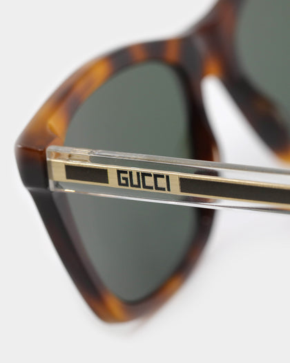 Gucci Men's GG0558S003 Havana