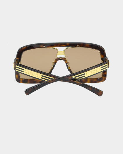 Gucci GG0900S002 HAVANA (55)-2 Havana