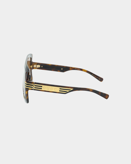 Gucci GG0900S002 HAVANA (55)-2 Havana
