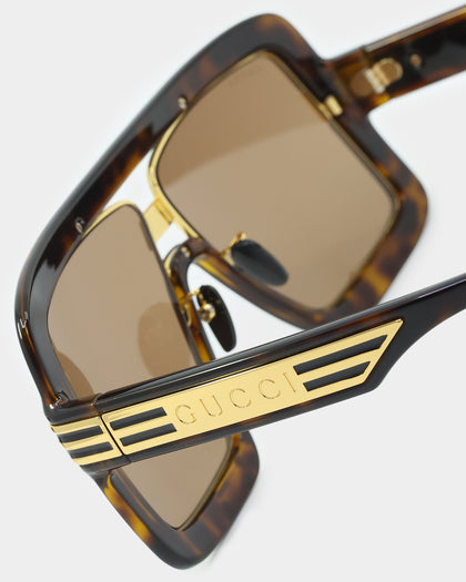 Gucci GG0900S002 HAVANA (55)-2 Havana