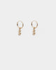 Wild for the Weekend Money Hoop Drop Earring Set Gold