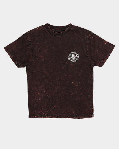 Santa Cruz Kids' Bolt Strip Short Sleeve T-Shirt Acid Rust