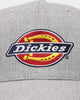 Dickies H.S Fort Worth Snapback Grey