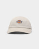 Dickies H.S Rockwood Curve Peak Soft Strapback Tan